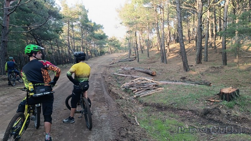 &Mu;&epsilon;&gamma;ά&lambda;&omicron; έ&rho;&gamma;&omicron; &kappa;&alpha;&theta;&alpha;&rho;&iota;&sigma;&mu;&omicron;ύ &tau;&eta;&sigmaf; &Alpha;&mu;&alpha;&lambda;ή&sigmaf; &alpha;&pi;ό &tau;&eta;&nu; &Delta;&iota;&epsilon;ύ&theta;&upsilon;&nu;&sigma;&eta; &Delta;&alpha;&sigma;ώ&nu; &nu;&omicron;&mu;&omicron;ύ &Lambda;έ&sigma;&beta;&omicron;&upsilon;