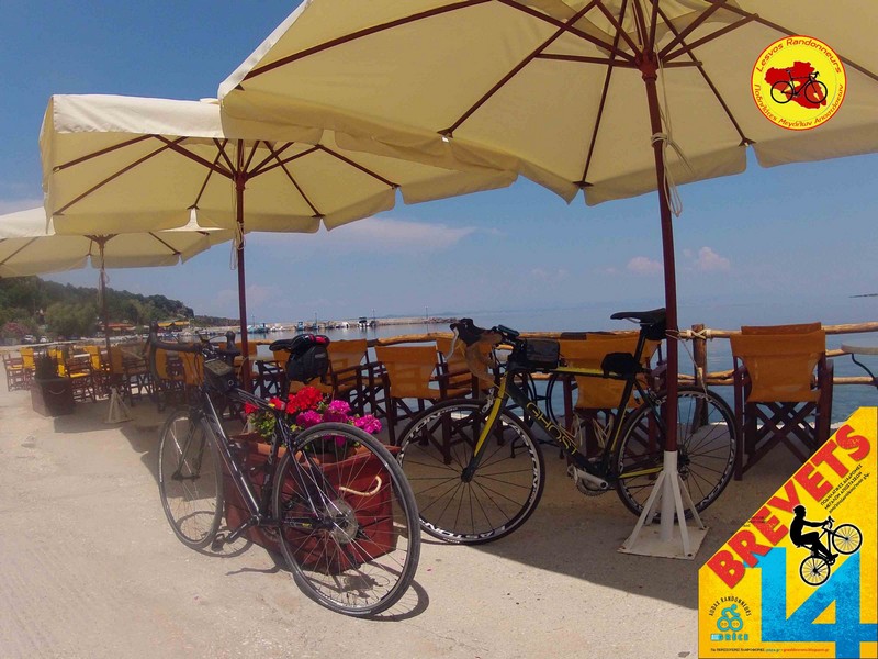 Lesvos Brevet 2014