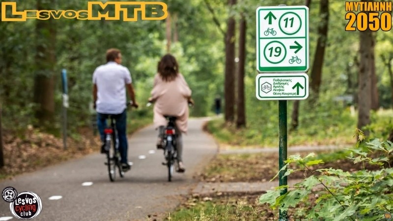 &Delta;&alpha;&sigma;&iota;&kappa;&omicron;ί &Pi;&omicron;&delta;&eta;&lambda;&alpha;&tau;ό&delta;&rho;&omicron;&mu;&omicron;&iota;