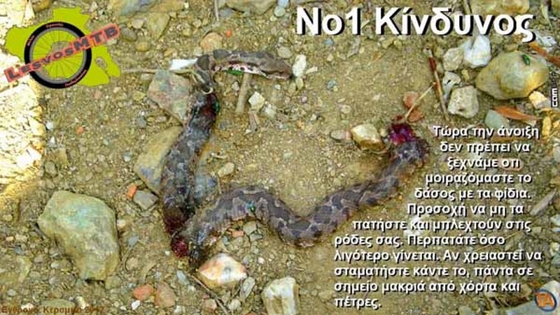 No1 &Kappa;ί&nu;&delta;&upsilon;&nu;&omicron;&sigmaf;