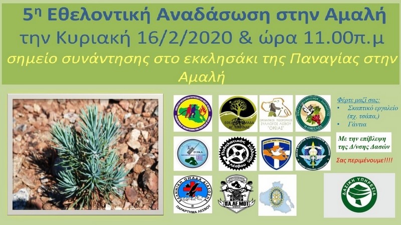 5&eta; &Delta;&epsilon;&nu;&tau;&rho;&omicron;&phi;ύ&tau;&epsilon;&upsilon;&sigma;&eta; &Pi;&epsilon;ύ&kappa;&omega;&nu; &sigma;&tau;&eta;&nu; &Alpha;&mu;&alpha;&lambda;ή