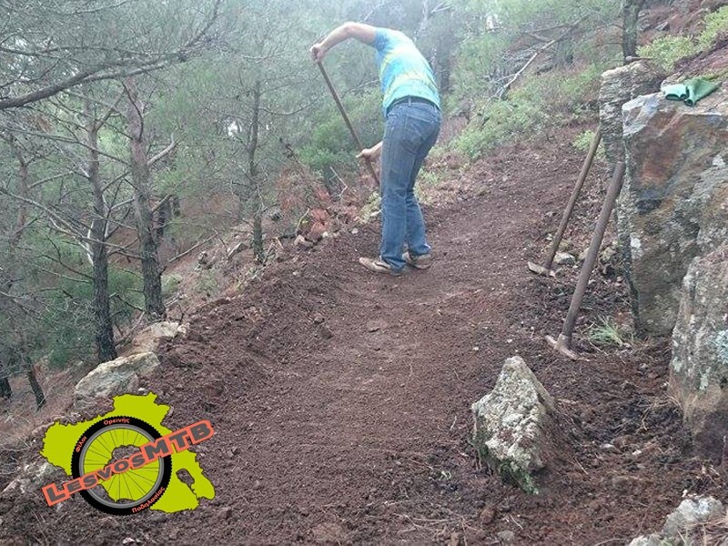 &Pi;ά&mu;&epsilon; Herb...